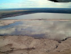 MEC Should Reconsider Partnerships with Tar Sands, Logging Companies