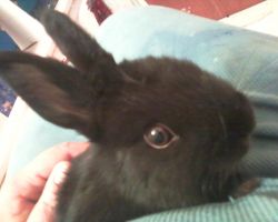 rescued baby girl, safe