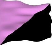 Issues from a queer & trans activist perspective