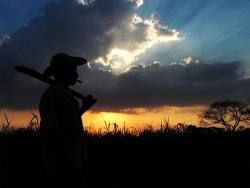 Land Reform a Threat to Criminal Interests in Colombia