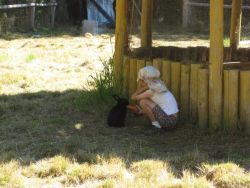 young volunteer feeds rabbit