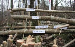 I Grieve Art Collective - on ecocide in Surrey at Hawthorne Rotary Park