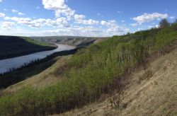 Peace River Valley