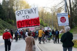"Opposition is rising, the movement is growing.  This freeway can still be stopped."