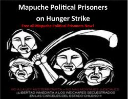 Mapuche Indigenous Political Prisoners Back on Hunger Strike
