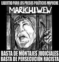 After Massive International Solidarity, Mapuche end Hunger Strike
