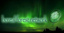 The Boreal Forest Network