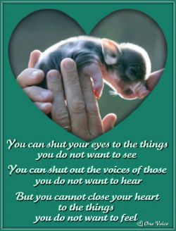 Love is the answer, no matter what the question