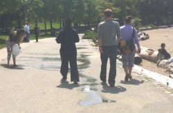 Rape Relief organizers remove chalk slogans from Seawall