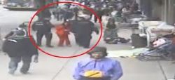 Sandy Davidsen, a disabled woman, pushed to the ground by VPD officer.